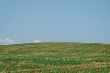 Obraz premium beautiful landscape, green field with grass and blue sky, smooth horizon line, tranquil landscape, relaxing scene, copy space