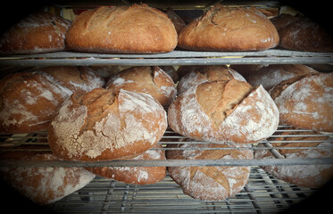 attractive and appetizing breads on a rack just out of the oven