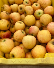 Golden Apples