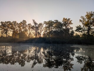 Fog in the field on the river and in the forest