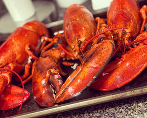 Lobsters
