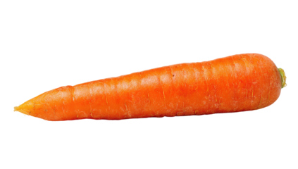 A single, whole, orange carrot, lying horizontally