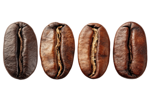 Close-up of four coffee beans, arranged horizontally.  Dark roasted, with visible ridges and textures