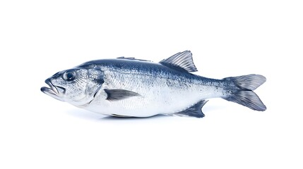 Obraz premium Fresh whole fish glistening on clean white background ready for culinary use