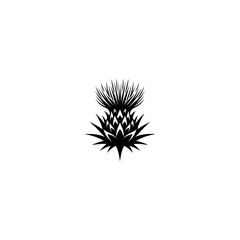 Close up of a single thistle, black and white illustration.