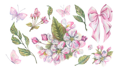 Watercolor clip art set with apple blossoms, butterflies, pink ribbons and bows, tender hand-painted illustration, perfect for romantic stationery, decorative cards, and creative spring designs.