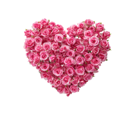 Pink roses arranged in a heart shape.  Many small pink roses form a heart shape against a black background.  Roses are a light, pastel shade, showing some lighter and darker pink tones