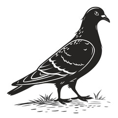 pigeon silhouette vector