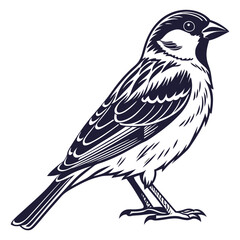 bird on a branch
