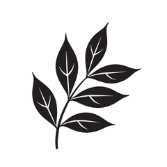 Leaf Branch Silhouette Black and white illustration
