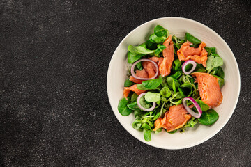 Salmon Salad appetizer seafood fresh fish second course portion size natural product tasty snack fresh food background on the table rustic copy space keto and paleo diet vegetarian pescetarian diet