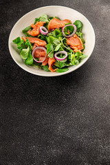 Salmon Salad appetizer seafood fresh fish second course portion size natural product tasty snack fresh food background on the table rustic copy space keto and paleo diet vegetarian pescetarian diet