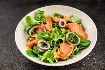 Salmon Salad appetizer seafood fresh fish second course portion size natural product tasty snack fresh food background on the table rustic copy space keto and paleo diet vegetarian pescetarian diet