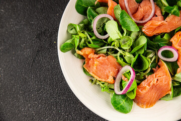 Salmon Salad appetizer seafood fresh fish second course portion size natural product tasty snack fresh food background on the table rustic copy space keto and paleo diet vegetarian pescetarian diet
