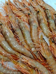 Fresh prawns at the supermarket