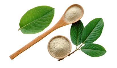Wooden spoon and bowl filled with light beige powder, surrounded by vibrant green leaves, arranged to resemble a percentage symbol