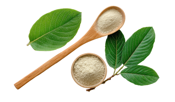Wooden spoon and bowl filled with light beige powder, surrounded by vibrant green leaves, arranged to resemble a percentage symbol - Powered by Adobe