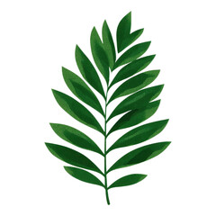 Vibrant Green Leaf on Transparent Background Ideal for Nature Themes