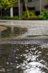 雨粒が輝くアスファルト ― 雨の日の美しい反射