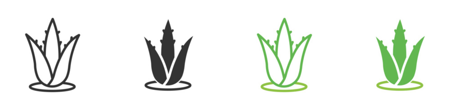 Fototapeta Aloe vera icon , Aloe vera plant with leaves icon set, vector illustration . 