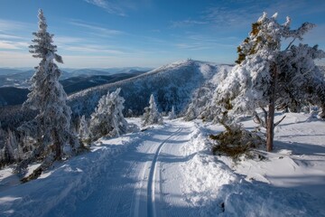 Obraz premium Winter mountain landscape features cross country skiers traversing snowy trails in a pristine natural setting under a clear blue sky