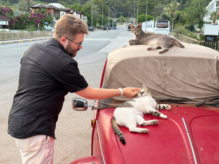 A man stroking a cat on the hood of a red car while another cat rests on the roof. Interaction,...