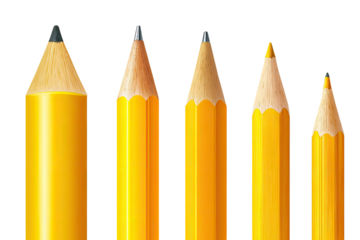 Four pencils of varying sizes, depicted in a row.  The pencils are yellow, with a graphite lead