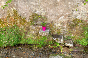 View of a pink pot on a stone wall background