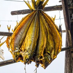 Dried fish bundles hang from wooden lines