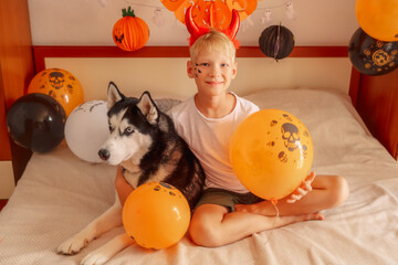 Cute boy with devil horns and a husky enjoy Halloween party together The boy smiles with devil...