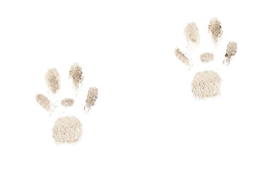 Muddy dog paw prints isolated on white background.