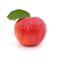 One apple with a leaf.