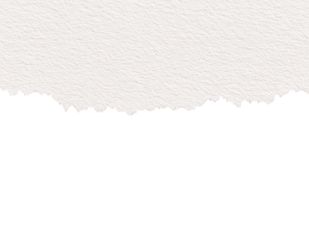 A piece of off-white paper with a jagged, torn edge