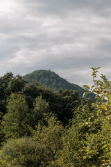 mountain landscape with trees and clouds