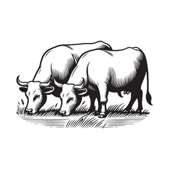 Obraz premium Black and White Vector Illustration of Cows Grazing in a Field