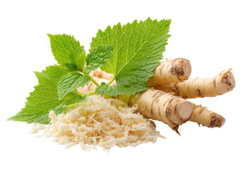 Fresh horseradish roots and leaves