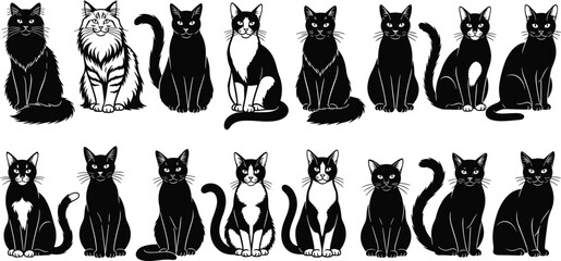 Vector illustration of sixteen seated cartoon cats with unique fur patterns, black and white markings, stylized poses, and forward-facing expressions