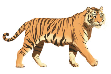 Obraz premium PNG Tiger wildlife tiger animal.