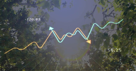 Displaying arrowed line graph above forest canopy, with numeric labels, grid plane and lens flare