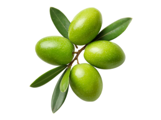 Fresh green olives on branch isolated black background, Isolated On white, Png Transparent