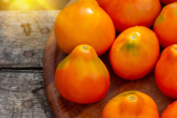 Tomato yellow truffle. Many tomatoes on wooden table. Fresh ripe organic garden tomatoes on wooden table.