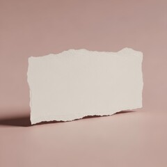 Obraz premium A single torn piece of textured paper with rough edges presented isolated on white background