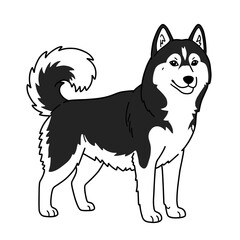 Fototapeta premium Husky coloring page. Standing siberian dog for classroom worksheets and pet breed education