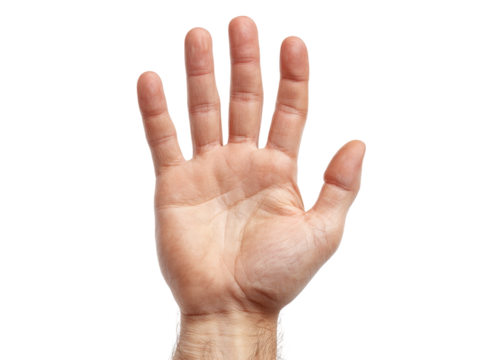 Open male hand palm up five fingers isolated black background, Isolated On white, Png Transparent