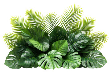 Green monstera leaves and palm fronds create an abundant botanical arrangement on a white background, ideal for tropical or jungle themed design