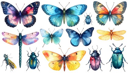 Watercolor illustration of various colorful insects, including butterflies, dragonflies, and beetles