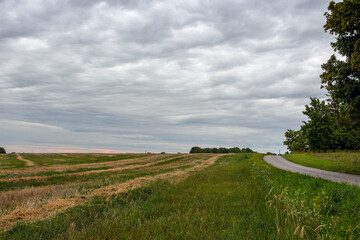 Obraz premium Winding rural road alongside a harvested field with golden straw lines, leading up a hill. Cloudy evening sky with hints of pink, and maple trees on the right, Estonia.