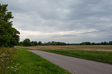 Paved rural road surrounded by a harvested rye field and green grass in Estonia. The serene evening landscape is set against a beautiful cloudy sky and a distant treeline.