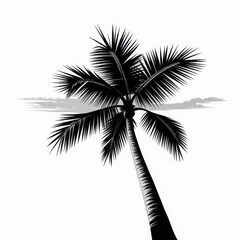 Obraz premium Vector art of a striking silhouette of a palm tree isolated on white background