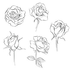 silhouette of roses, black on white.